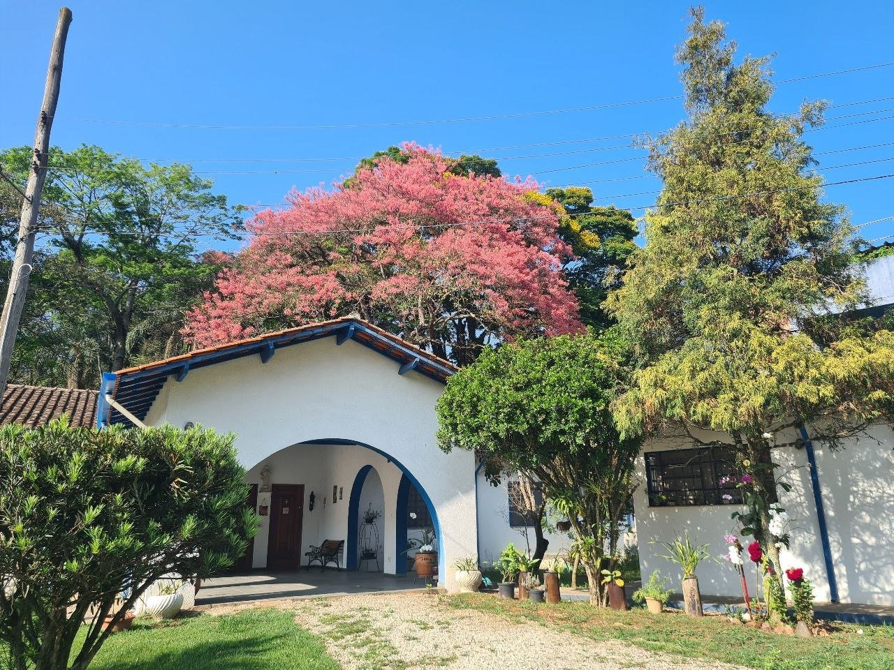 photo_4972520485006978884_y (1)