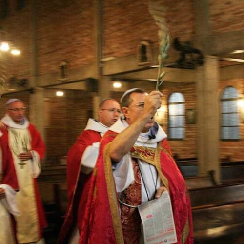 Domingo-de-Ramos-2015-029