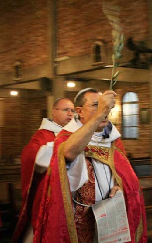 Domingo-de-Ramos-2015-029