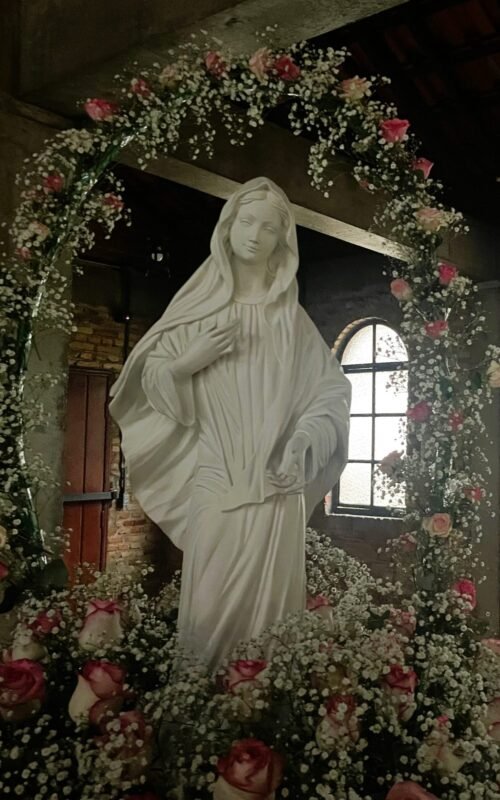 MENSAGEM DE NOSSA SENHORA RAINHA DA PAZ – 25 de Junho de 2024