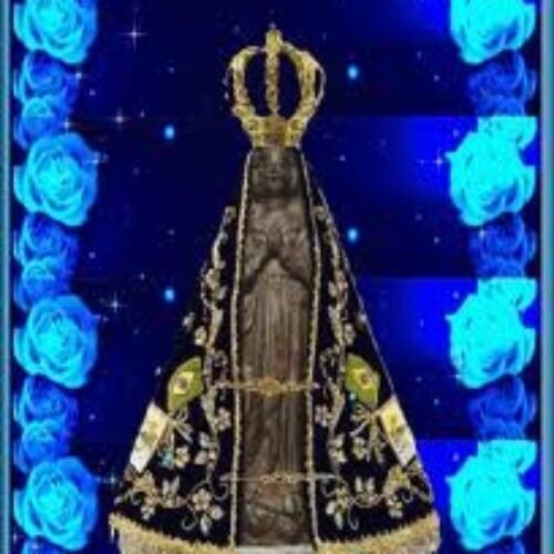 aparecida3