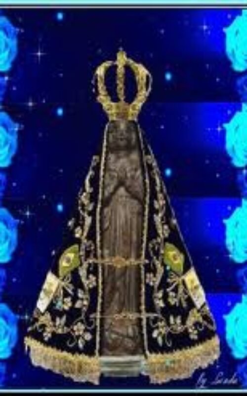 aparecida3
