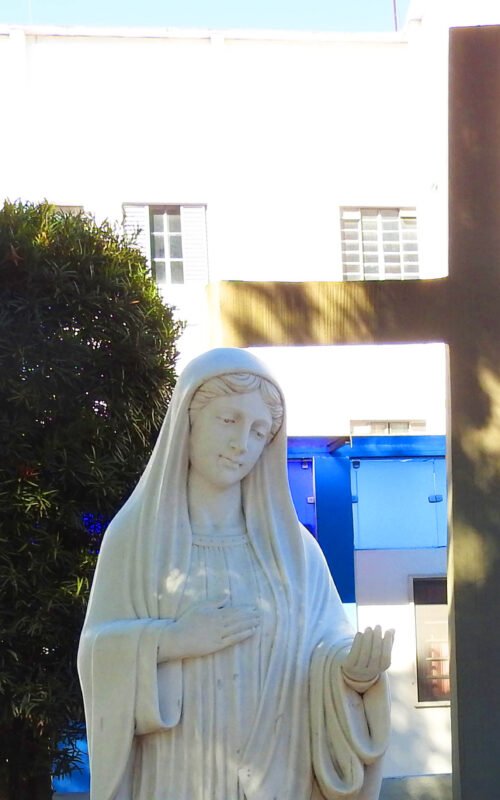 Mensagem de Nossa Senhora Rainha da Paz – 25 de março de 2021.
