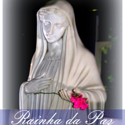 capa33