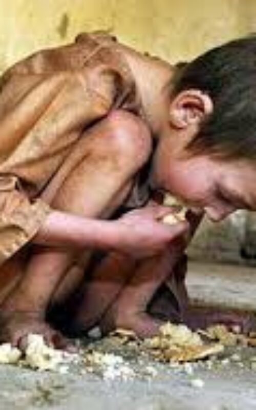 Homilia do 8° Domingo do tempo Comum – Ano A