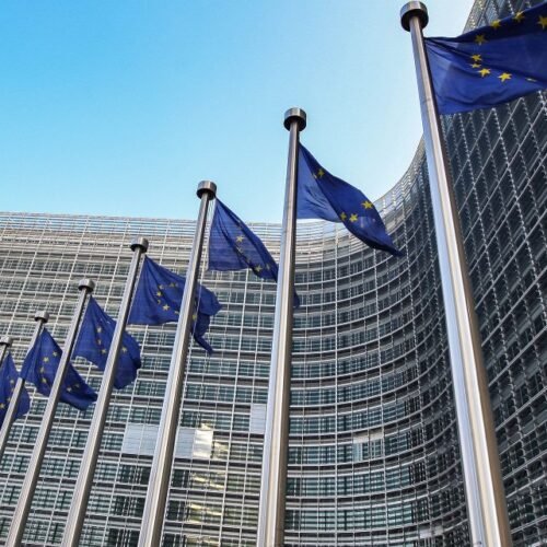 AS NOVAS DIRETRIZES DA COMISSÃO EUROPEIA