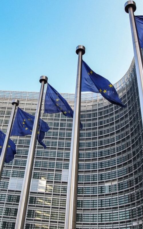 AS NOVAS DIRETRIZES DA COMISSÃO EUROPEIA